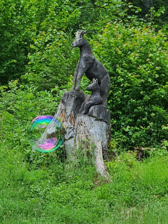 Meubles Ain-jura *