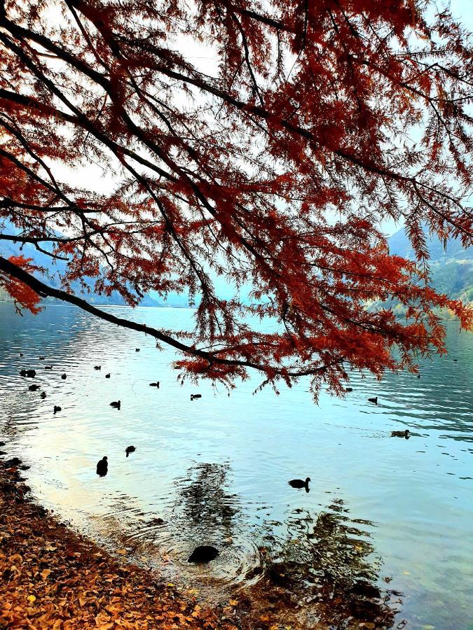 Meubles Ain-jura *